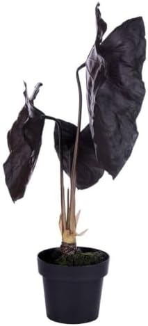 Vickerman 28 x 17 Artificial Alocasia Black Magic Potted Plant