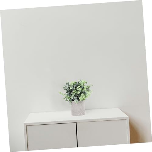 Eucalyptus bounced by Unomor