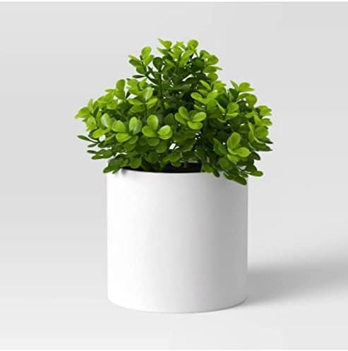 Perfectly Planted Threshold Boxwood