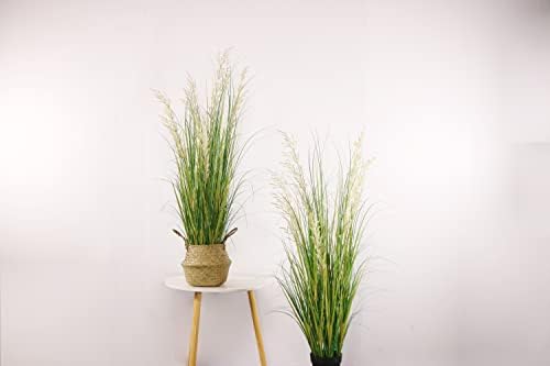 Faux Grass Plant 47in 2pk Decorative Faux Greenery
