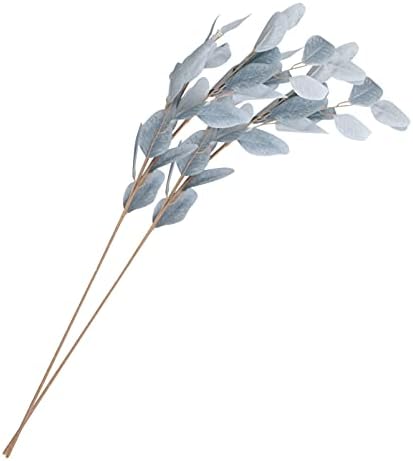 Take a breath of fresh spring air with our 2-pc bouquet