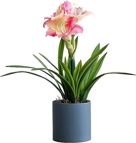 Beautiful Fake Artificial Flowers