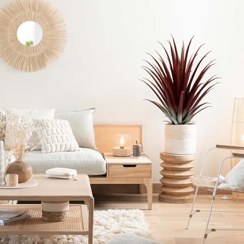 Real-Looking Fake Agave Plant 26