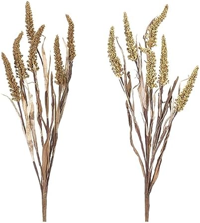 Elegant Amaranthus Bush Set for Home