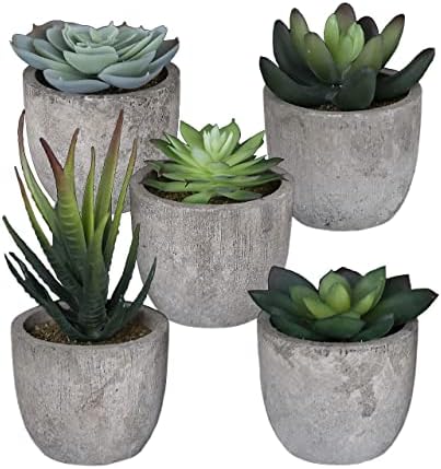 5 Mini Fake Succulents Set for Bedroom Bathroom Decor