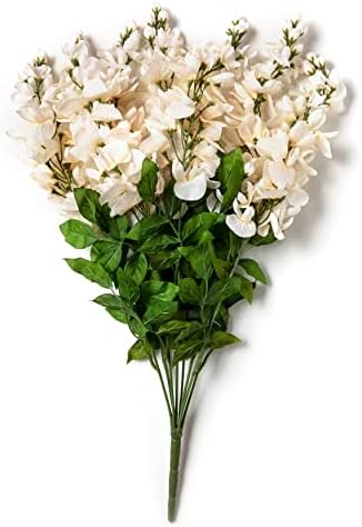 Floral Serenity - Cream Wisteria Bush by Ashland