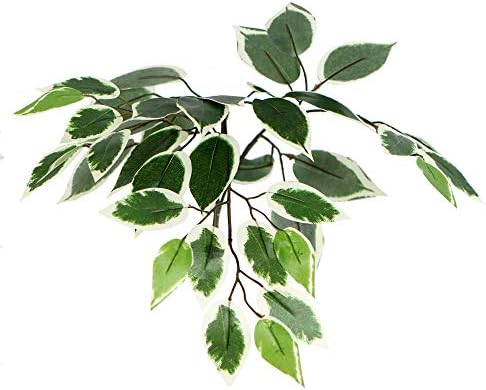 Magnificent Handcrafted Artificial Variegated Ficus Bush with Real Wood Trunks from the USA