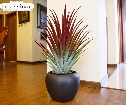 Stunning 26 Realistic Agave in Matte Black Pot