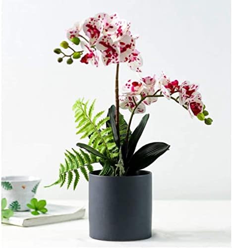 Elegant Faux Orchids for Home Office Decor