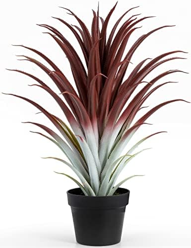 Stunning 26 Realistic Agave in Matte Black Pot