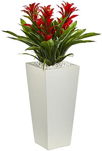 Bring Spring to Home with Nearly Natural Bromeliad Plant