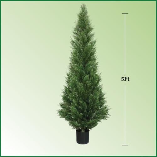 Arc Cedar Topiary Outdoor