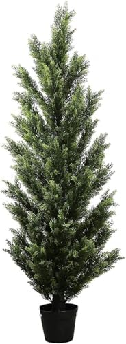 Arc Cedar Topiary Outdoor