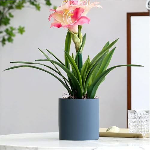 Beautiful Fake Artificial Flowers
