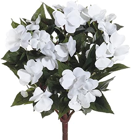 Allstate 137 New Guinea Impatiens Bush White 6-Pack