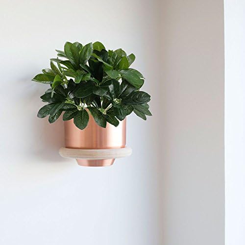 Realistic Schefflera Shrub artificial plants