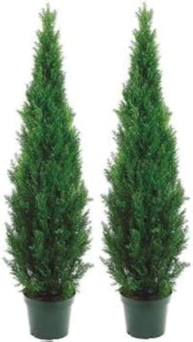 Arc Cedar Topiary Outdoor
