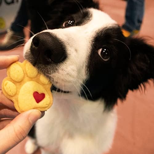 Cute Paw Cookie Cutter - Small 1 Piece - Bakerlogy
