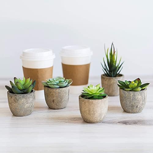 5 Mini Fake Succulents Set for Bedroom Bathroom Decor