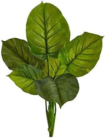 27in Large Philodendron Bush Plant Set of 4