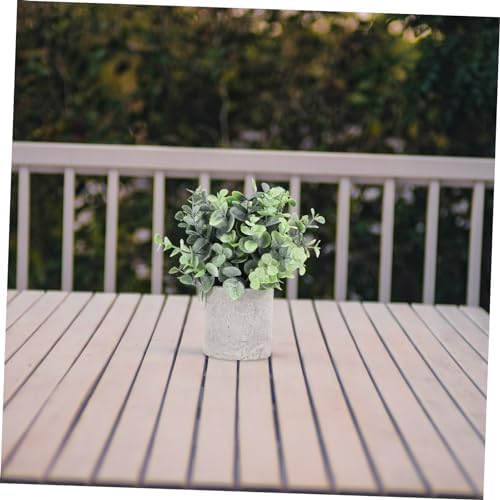 Eucalyptus bounced by Unomor