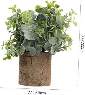 Eucalyptus bounced by Unomor