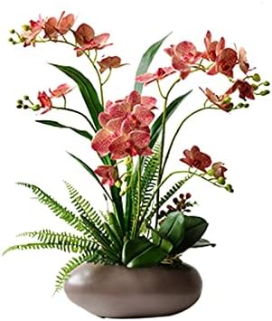 Sm lifelike Phalaenopsis Potted Plant for Home Decor