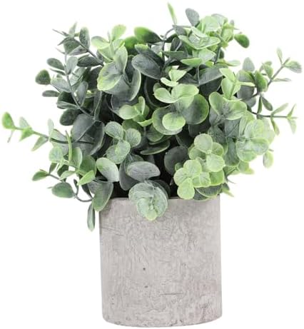 Eucalyptus bounced by Unomor
