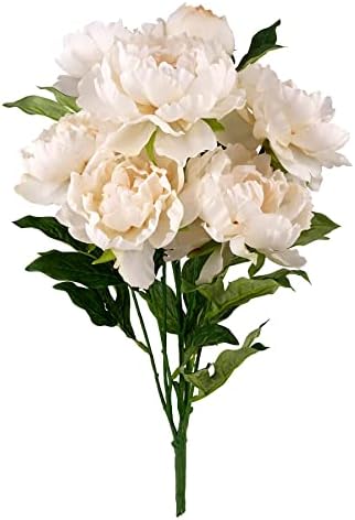 Elegant Cream Peony Bush for Home Dcor