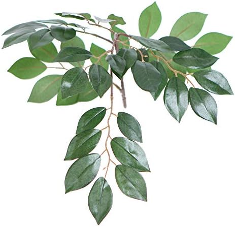 Vickerman TBU0740 Green Dark 4 Everyday Sakaki Bush