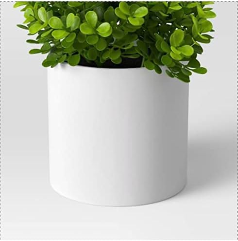 Perfectly Planted Threshold Boxwood