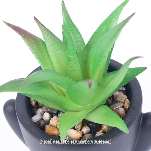 Tearom 4-Pack Fake Succulents with Human Pots Perfect for Office Home