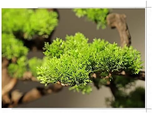 Gray Fake Bonsai Tree for Home Decor