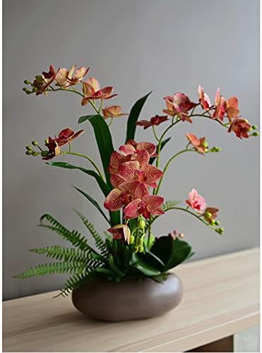 Sm lifelike Phalaenopsis Potted Plant for Home Decor