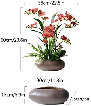 Sm lifelike Phalaenopsis Potted Plant for Home Decor