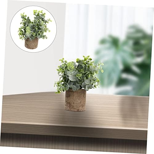 Eucalyptus bounced by Unomor