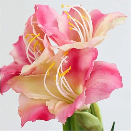 Beautiful Fake Artificial Flowers