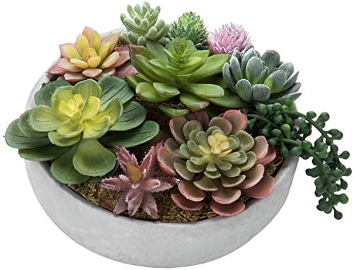 MyGift 8-Inch Round Modern Succulent Arrangement - Limited Offer