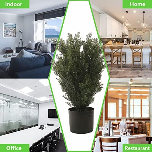 Softflame 2FT Cedar Topiary Tree