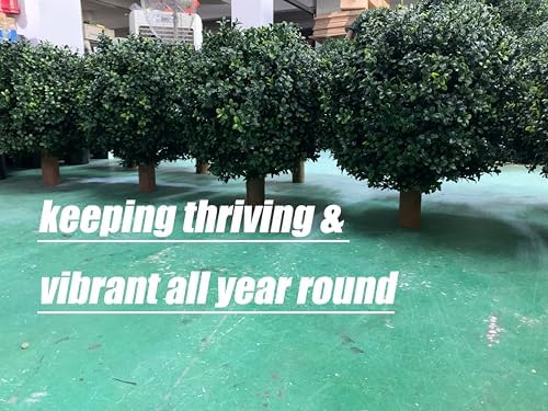 BLONYUVC 27 UV-Resistant Boxwood Bush with 8 Spike for Planting