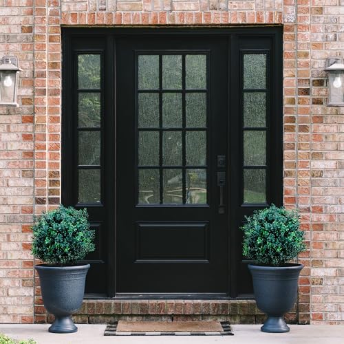 Elegant Boxwood Topiary Set