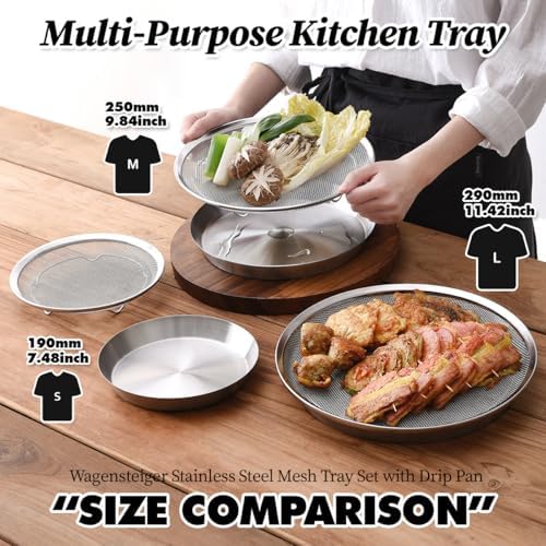 Stainless Steel Mesh Strainer Set with Drip Pan