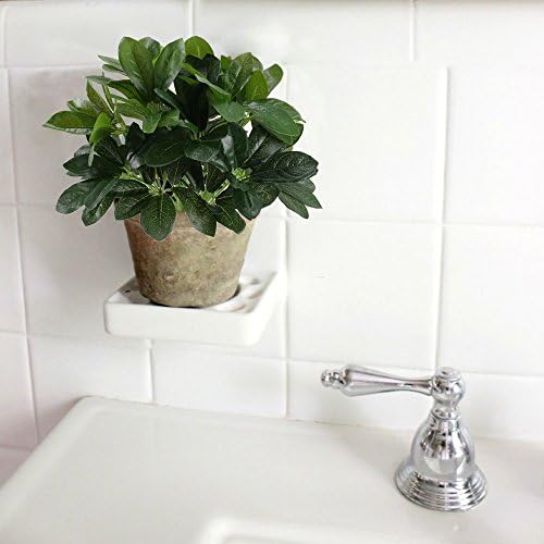 Realistic Schefflera Shrub artificial plants