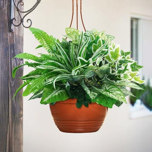 Bring Green to Your Outdoor Space
