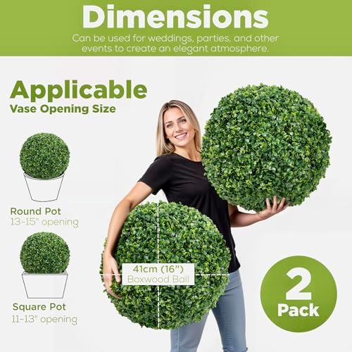 Stackable Boxwood Beauty - 2-Pack