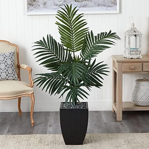 Natural Beauty 45ft Kentia Palm