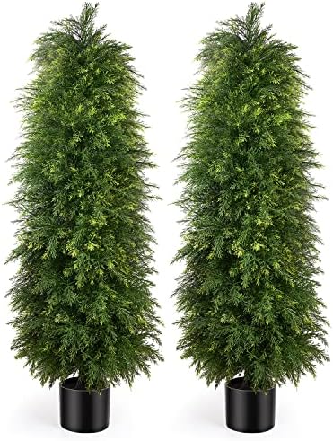 Premium Cedar Topiary Trees 5ft