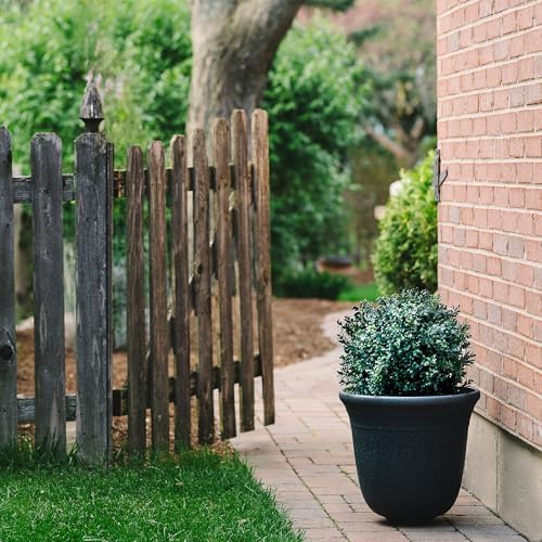 Elegant Boxwood Topiary Set