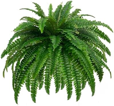 Authentic Fake Boston Fern 88 Branches for Home Decor