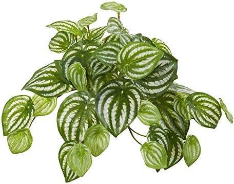 11-in Watermelon Peperomia Hanging Plant Set - 12 Real Touch
